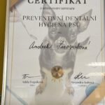Andrea Suroviaková - Dog’s Beauty & Wellness - Certifikáty